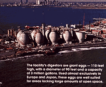 giant egg digesters