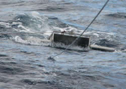 manta trawl