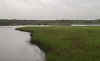 The marsh at Rose Bay