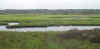 Winding Waterways throughout the marsh