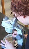 Student looking at a water sample from Rose Bay