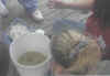 Monitoring the oxygen level in the bucket