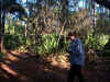 Caryn Looking At Plants At Rose Bay