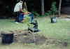 Students planting trees at Rose Bay