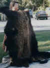 Woman holding up a skin