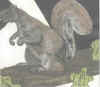 art5.jpg (38547 bytes)