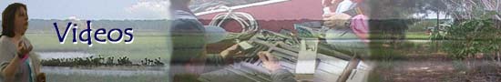 videos.jpg (13531 bytes)