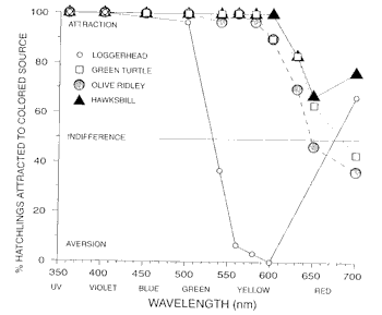 figure5.gif (6049 bytes)