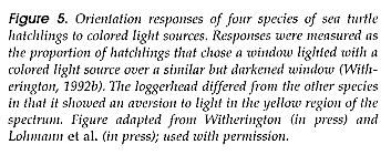 figure5narrative.gif (6869 bytes)