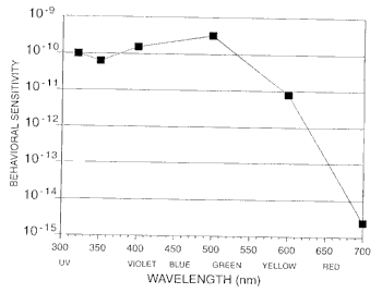 figure6.gif (4800 bytes)