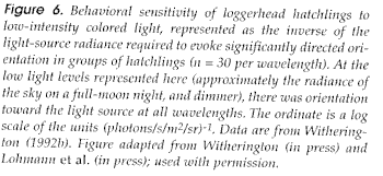 figure6narrative.gif (8543 bytes)
