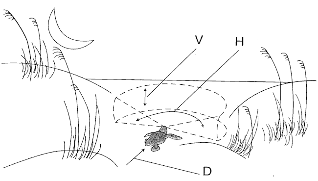 figure8.gif (13293 bytes)