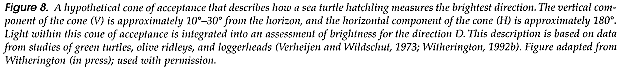 figure8narrative.gif (6736 bytes)
