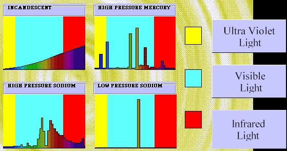 (group).jpg (62770 bytes)