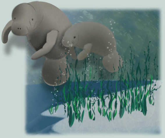 manatees.gif (96416 bytes)