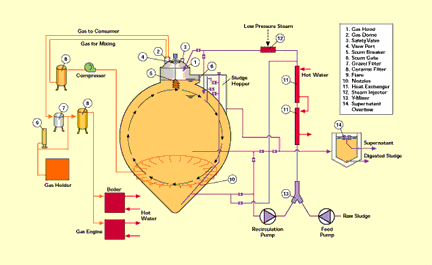 egg digester schematic