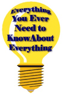 All You Need to Know Title