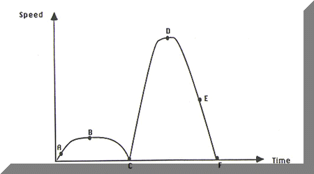 5b.GIF