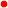 bullet.gif (841 bytes)