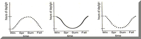 3a.GIF