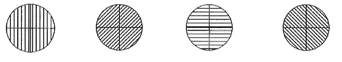 page2image.gif (9579 bytes)