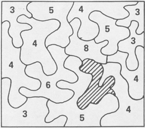 puzzle.GIF