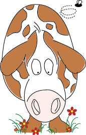 pic 1.GIF (12646 bytes)