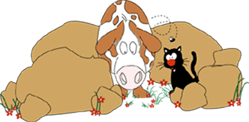 pic 6.GIF (17481 bytes)