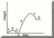 1.GIF (7873 bytes)