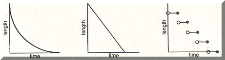 2a.GIF (20295 bytes)